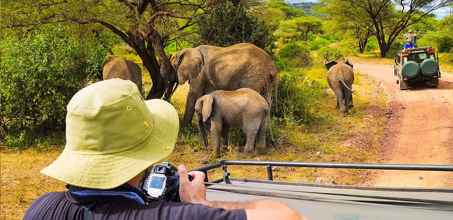 Things to Do in Kenya: Kenya Attractions